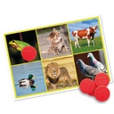 Bingo: animals and nature
