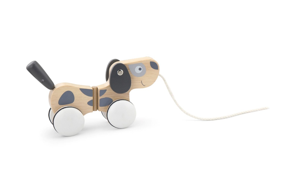 Pull-Along Puppy