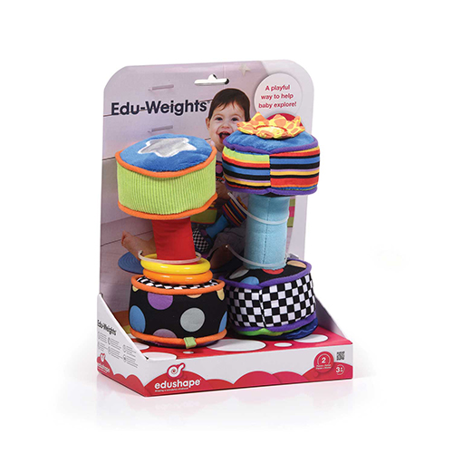 EDU WEIGHTS (875003)