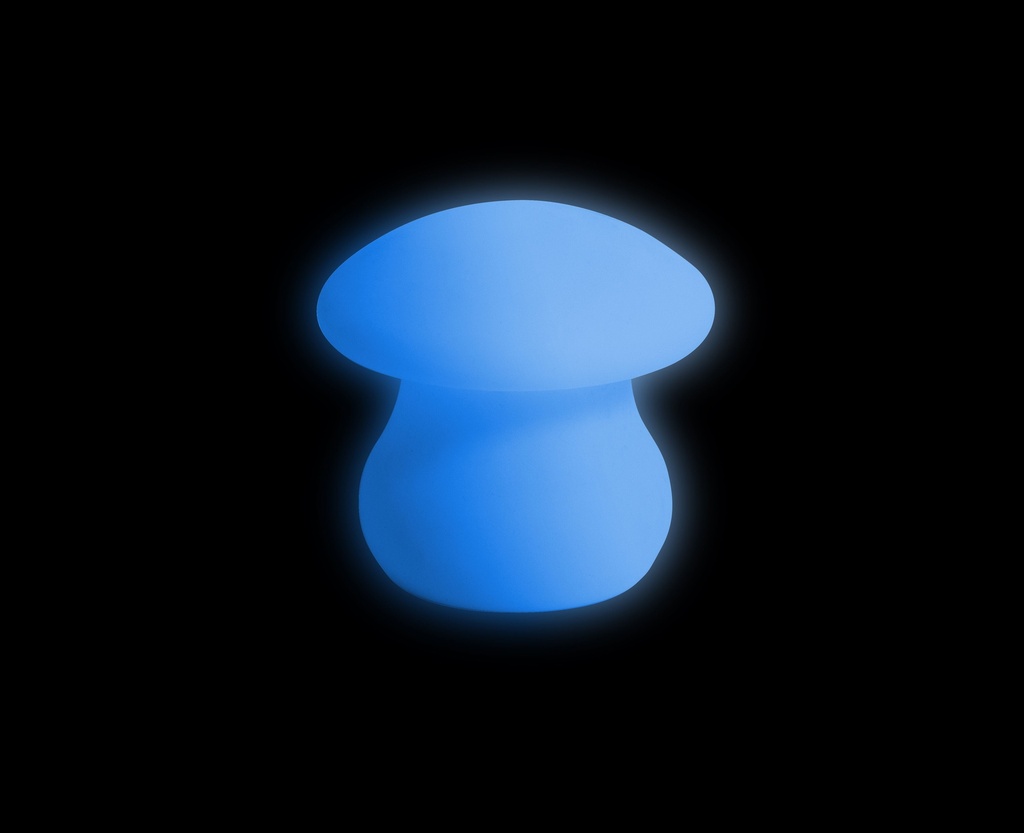 LIGHT CHANGING MUSHROOM