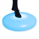 Round Interactive Light Up Floor Tile (Plastic)