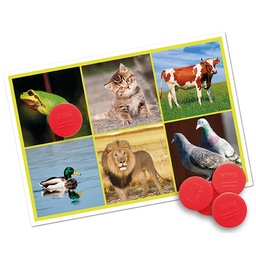 [4073-1029] Bingo: animals and nature